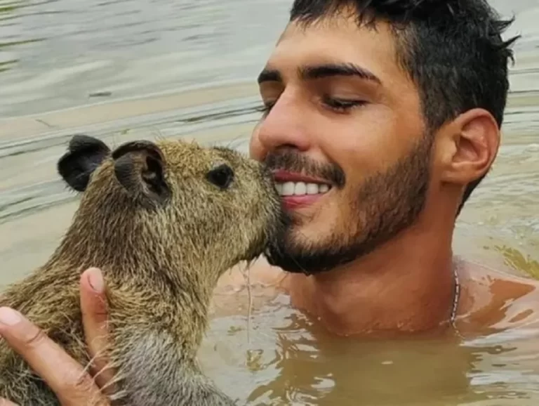 Ibama diz que vai averiguar estado de saúde de capivara criada por fazendeiro no Amazonas