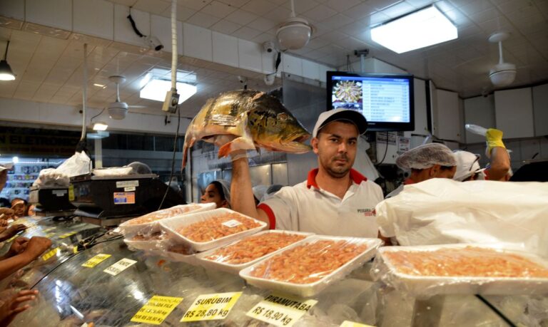 Peixes consumidos no Amazonas têm contaminação por mercúrio, aponta pesquisa