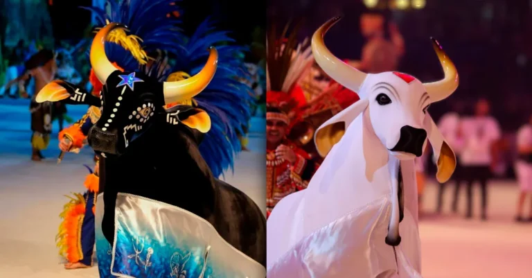 Festival de Parintins: um espetáculo a céu aberto no meio da Amazônia