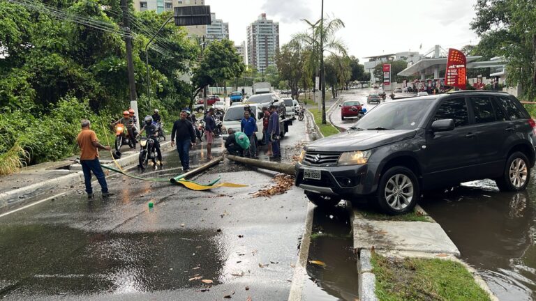 Vídeo: carro invade canteiro central e derruba poste durante chuva em Manaus